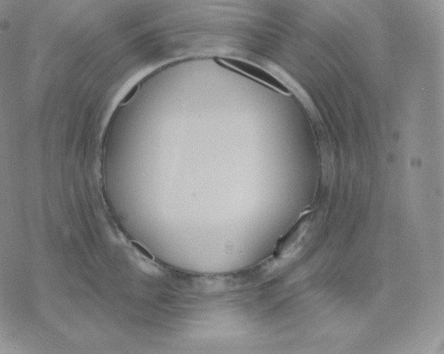 X0000071940956200607281940