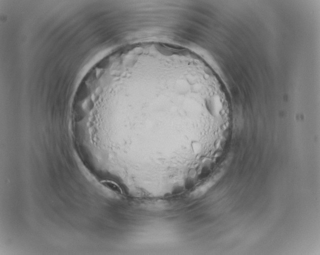 X0000071940957200607281940