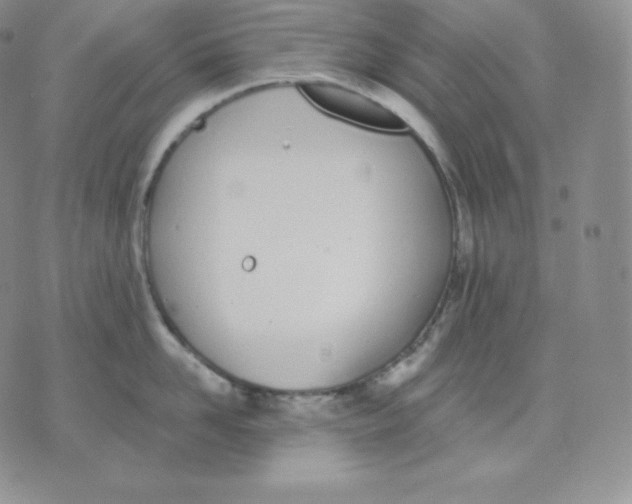 X0000071940958200607281940