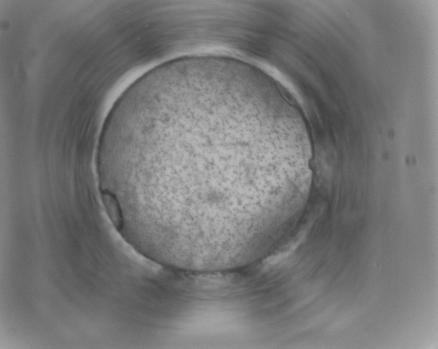 X0000071940959200607281940