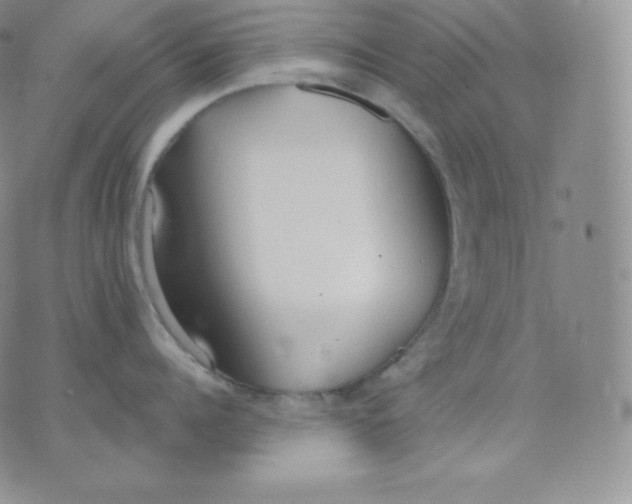 X0000071940960200607281940