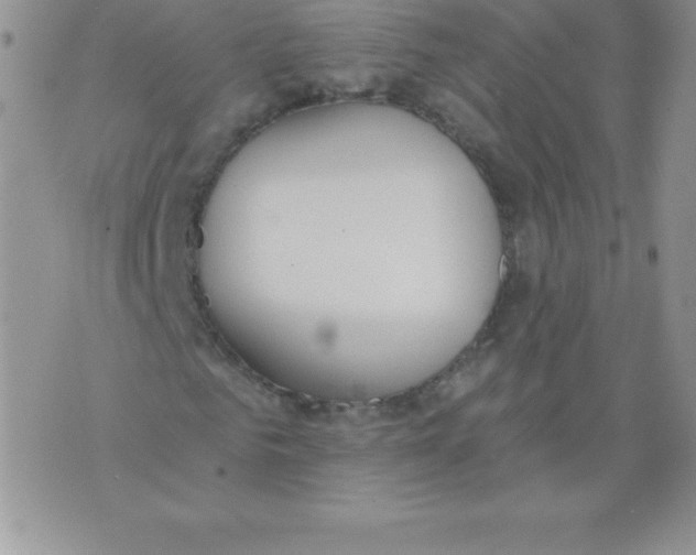 X0000071940961200607281939