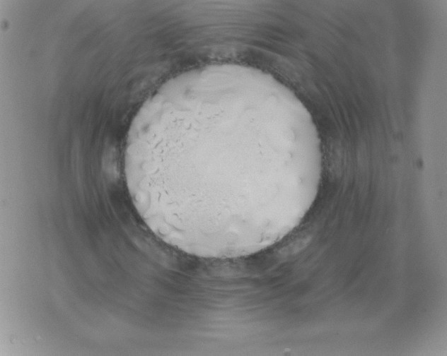 X0000071940962200607281939