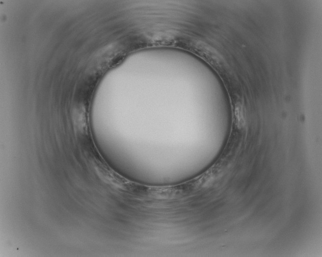 X0000071940963200607281939