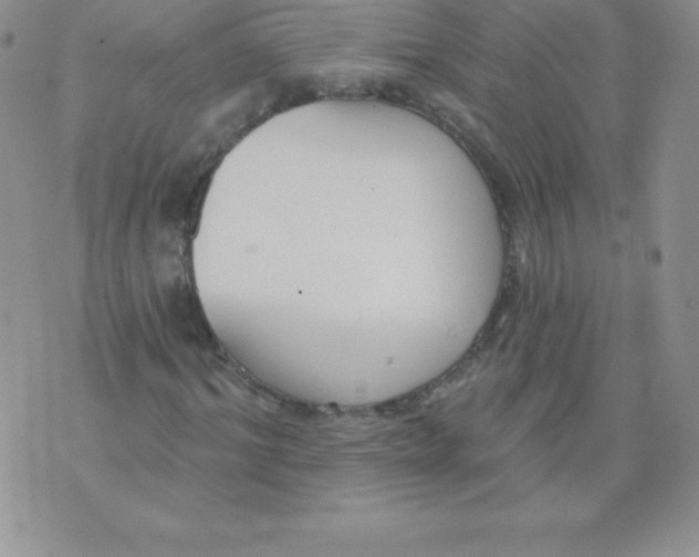 X0000071940964200607281939