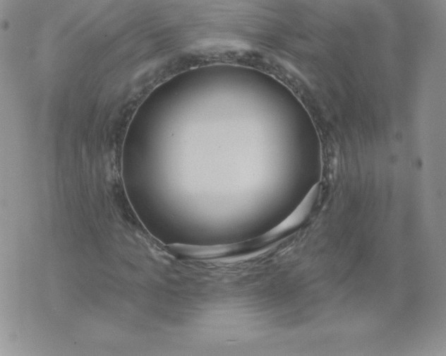 X0000071940965200607281939