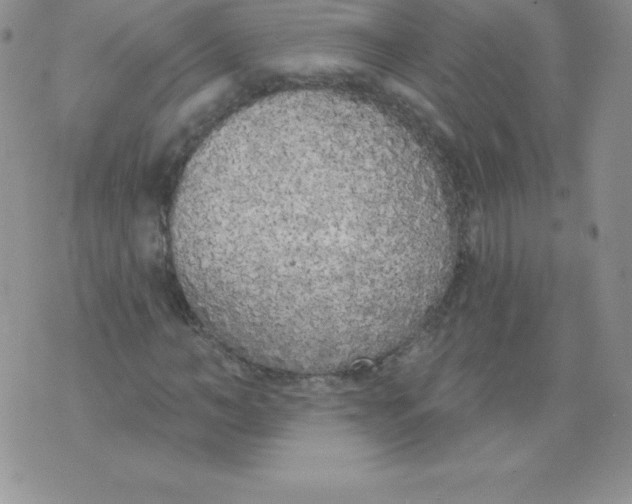 X0000071940966200607281939