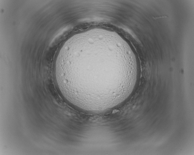 X0000071940967200607281939