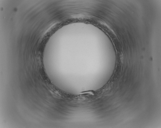 X0000071940968200607281939