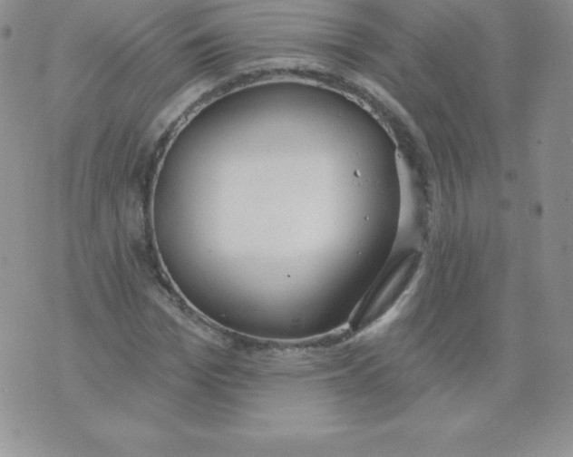 X0000071940969200607281939