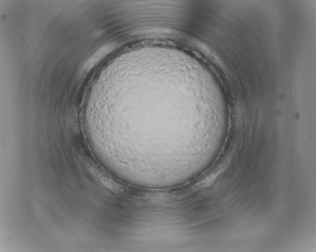 X0000071940970200607281939