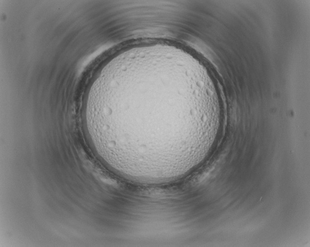 X0000071940971200607281939