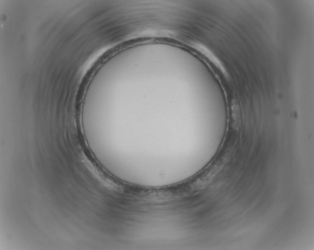 X0000071940972200607281939