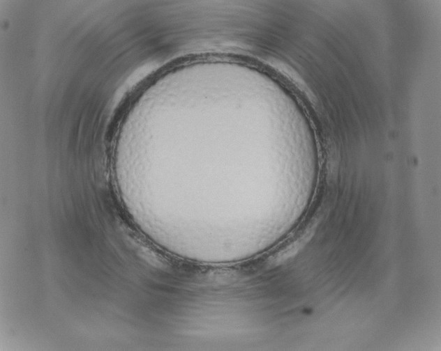 X0000071940974200607281939