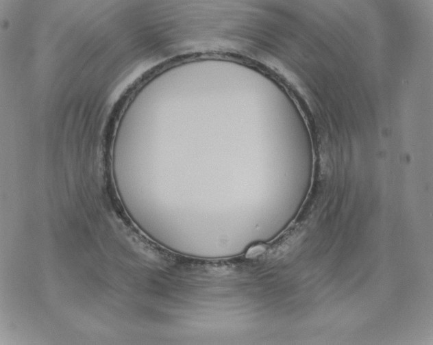 X0000071940975200607281939