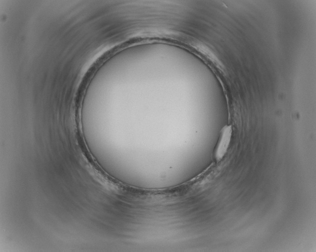 X0000071940976200607281939