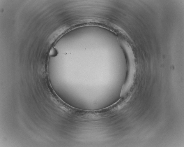 X0000071940977200607281939