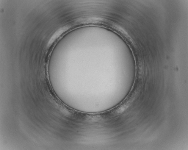 X0000071940978200607281939