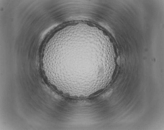 X0000071940979200607281939