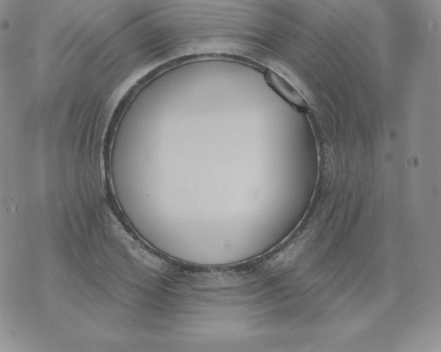 X0000071940980200607281939