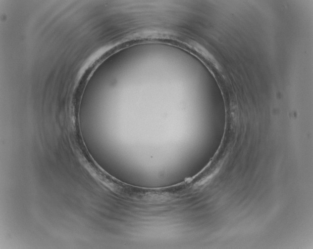 X0000071940981200607281939