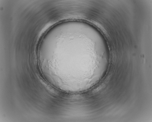 X0000071940982200607281939