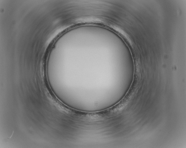 X0000071940983200607281939