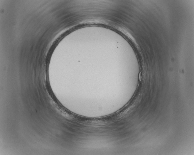 X0000071940984200607281939