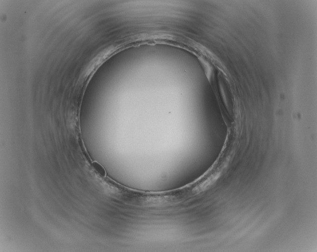 X0000071940985200607281939