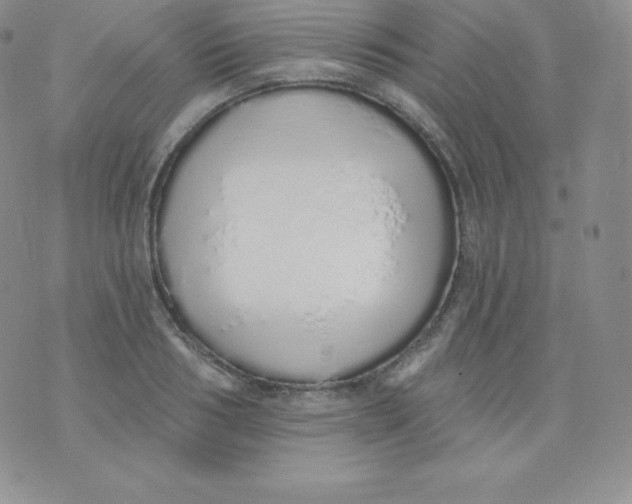 X0000071940986200607281939