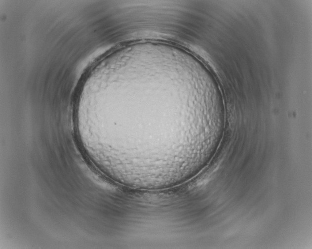 X0000071940987200607281939