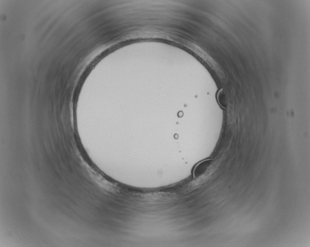 X0000071940988200607281939