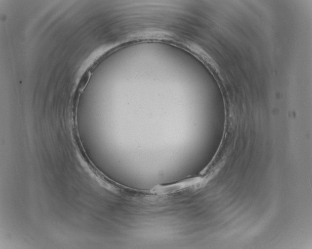 X0000071940989200607281939