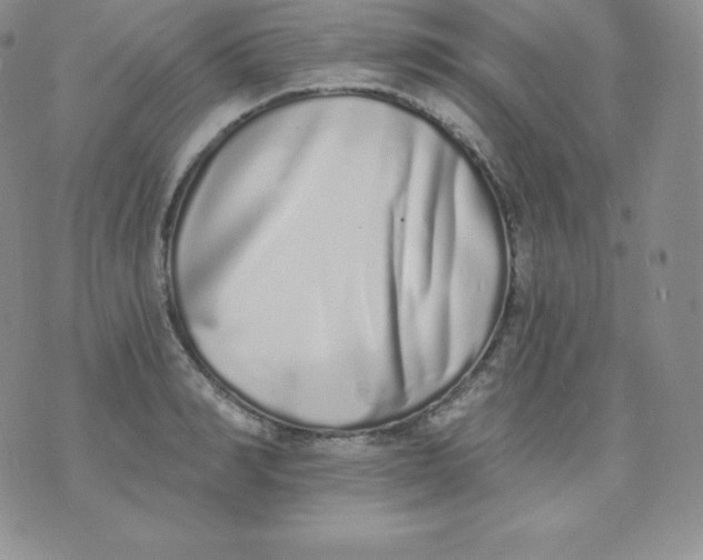 X0000071940990200607281939