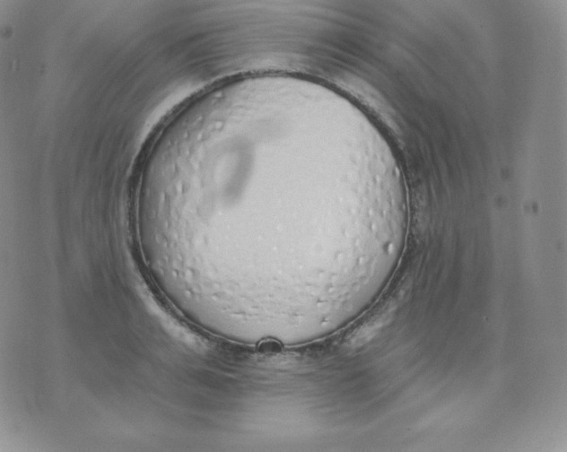 X0000071940991200607281939