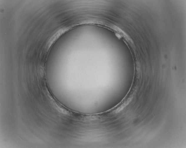 X0000071940993200607281939