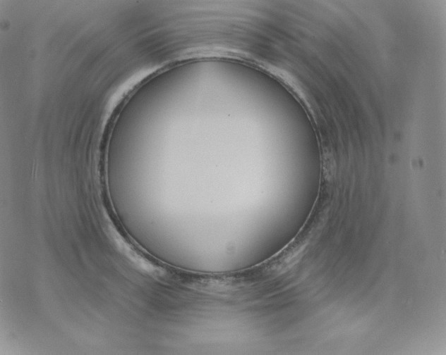 X0000071940995200607281939