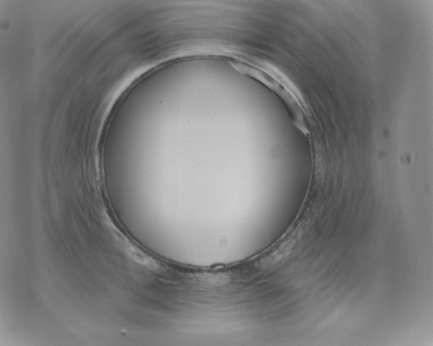 X0000071940996200607281939