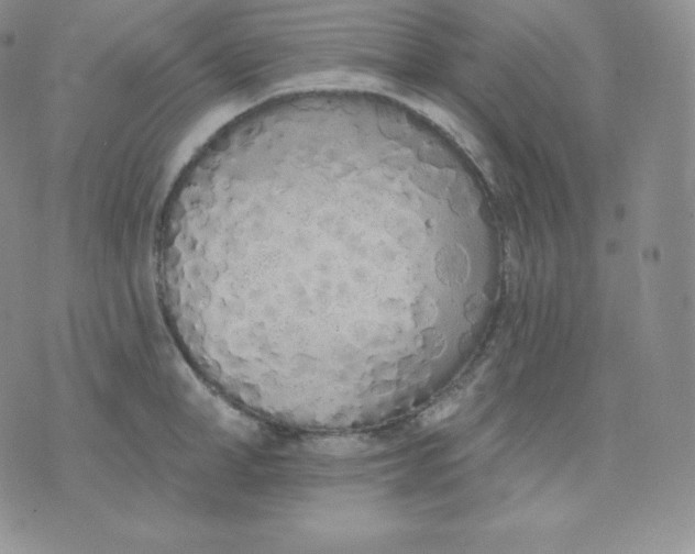 X0000071940998200607281939