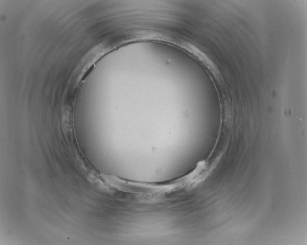 X0000071941001200607281939