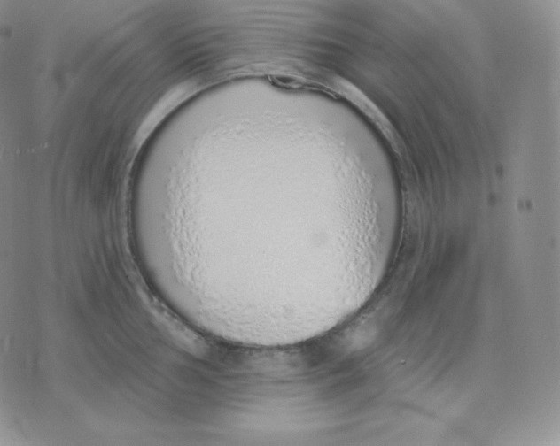 X0000071941002200607281939