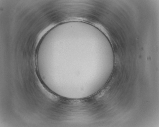 X0000071941003200607281939