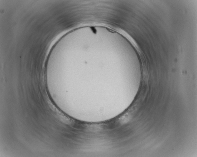 X0000071941004200607281939