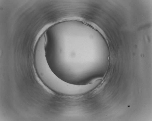 X0000071941005200607281939