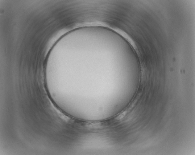 X0000071941006200607281939