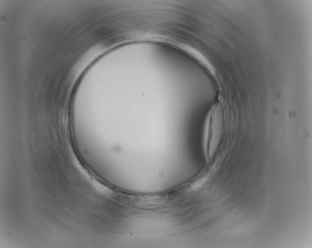 X0000071941007200607281939