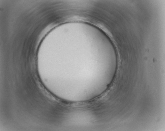 X0000071941008200607281939