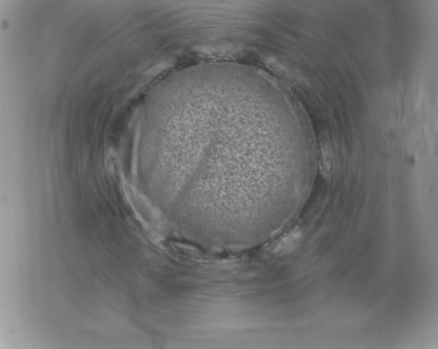 X0000071941010200607281938