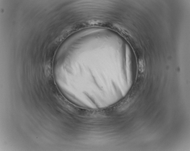 X0000071941011200607281938