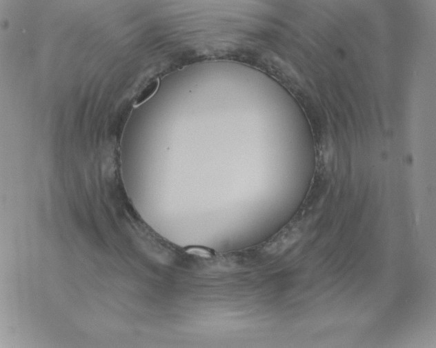 X0000071941012200607281938